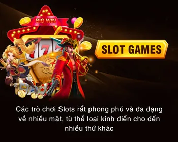 Hỗ Trợ Đa Nền Tảng